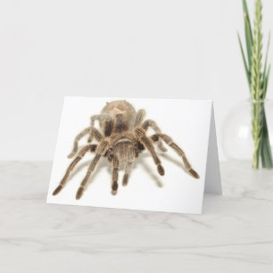 Tarjeta Tarantula