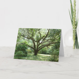 Tarjeta Tarde del verano de Bluffton