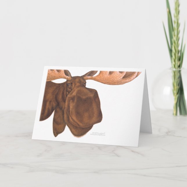 Tarjeta tarjeta_alce (Anverso)