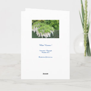 Tarjeta Tarjeta/Belleza/Wisteria/Jardín/Naturaleza/Tranqui