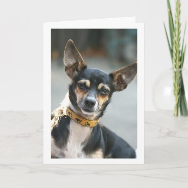 Tarjeta Tarjeta, besa mi nariz, Chihuahua (Anverso)