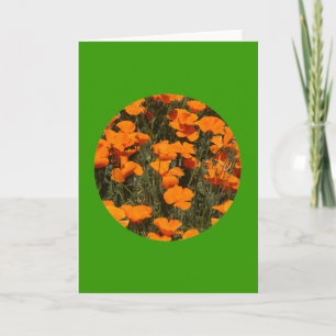 Tarjeta Tarjeta, "California Poppies in Circle" # 4