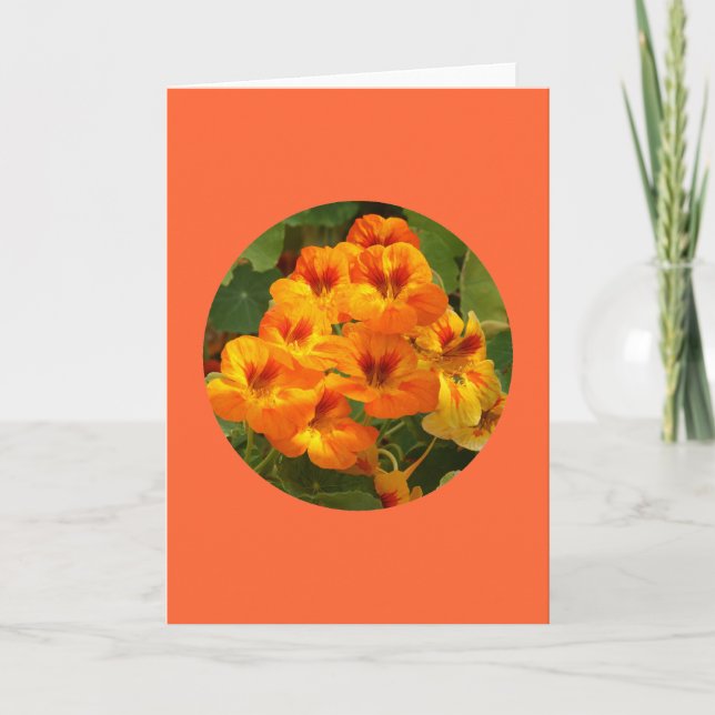 Tarjeta Tarjeta, "capuchinas en el círculo" D-1 (Anverso)