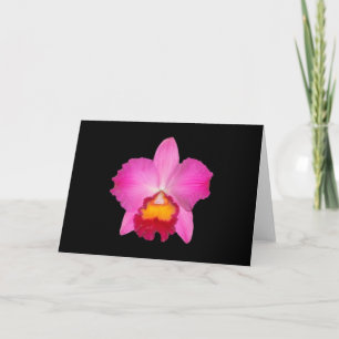 Tarjeta Tarjeta, cattleya rosa. # 1781 copia