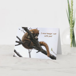 Tarjeta Tarjeta: Coatimundi #5