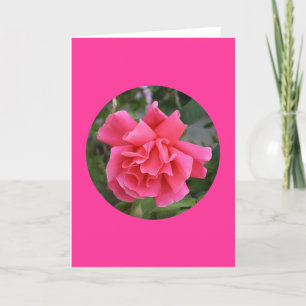 Tarjeta Tarjeta, "color de rosa rosado en el círculo" I-1