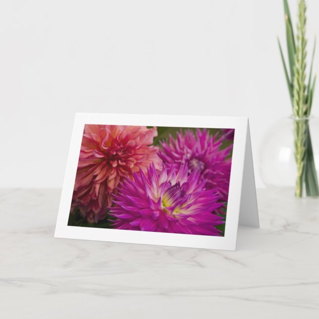 Tarjeta Tarjeta, Dahlia # 150 (Anverso)