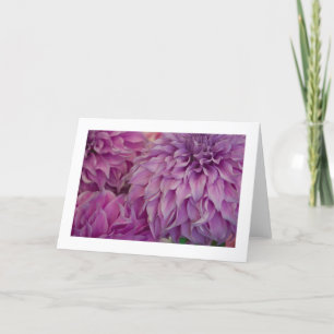Tarjeta Tarjeta, "Dahlia # 151"