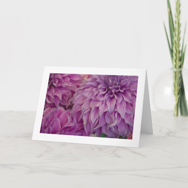 Tarjeta Tarjeta, "Dahlia # 151" (Anverso)
