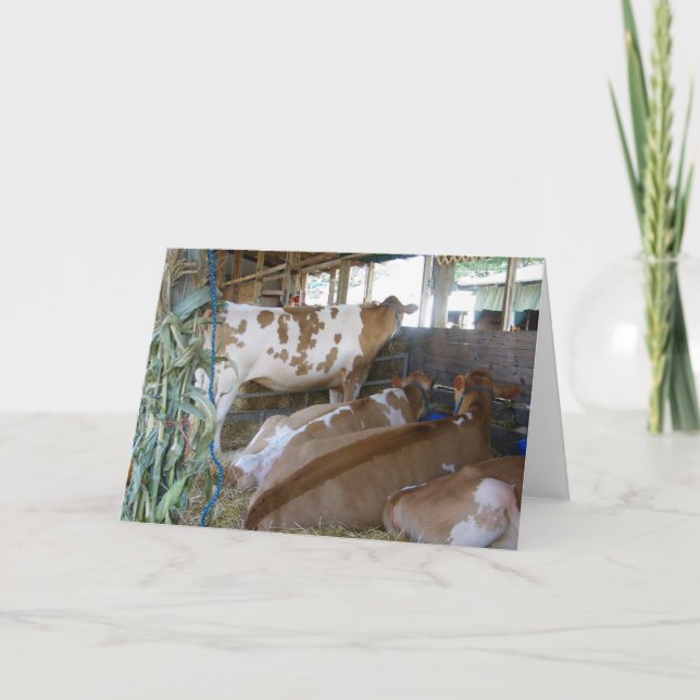 TARJETA "TARJETA DE CUMPLEAÑOS 50 DEL HUMOR DE LA VACA" (Anverso)