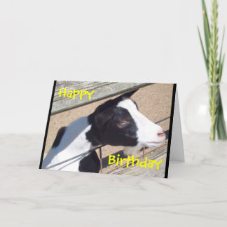 Tarjeta "Tarjeta de cumpleaños de la cabra del parque