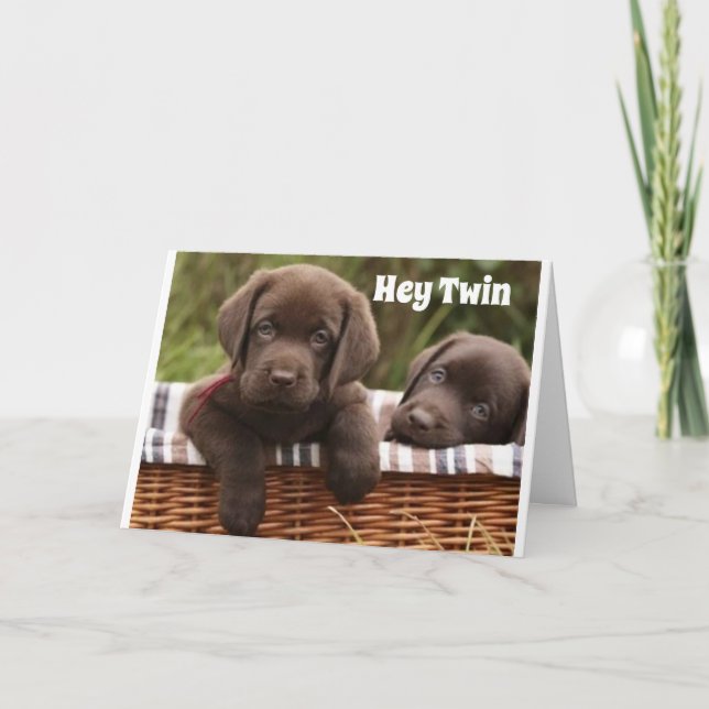 TARJETA **TARJETA DE CUMPLEAÑOS DE LA HERMANA DE TWIN** (Anverso)