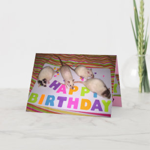 Tarjeta ¡Tarjeta de cumpleaños de las ratas! v1
