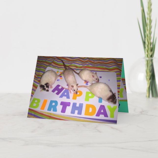 Tarjeta ¡Tarjeta de cumpleaños de las ratas! v2 (Anverso)