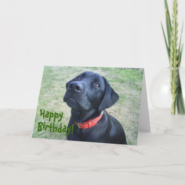 Tarjeta ¡Tarjeta de cumpleaños del perrito! (Anverso)