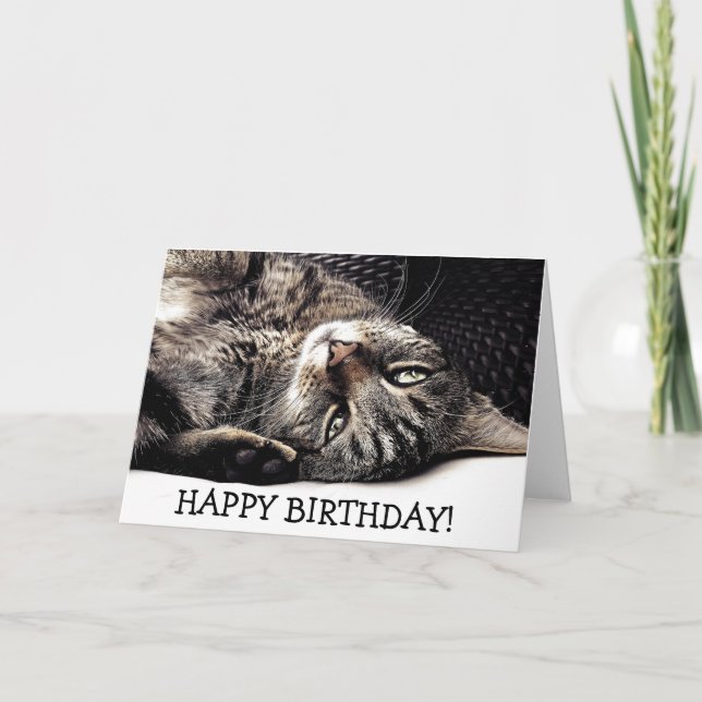 Tarjeta ¡Tarjeta de cumpleaños divertida con el gato - (Anverso)