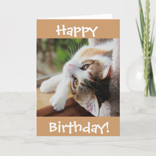 Tarjeta ¡Tarjeta de cumpleaños linda del gato de calicó,