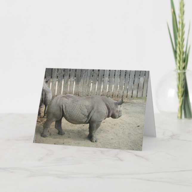 Tarjeta ¡Tarjeta de cumpleaños Rhino! (Anverso)