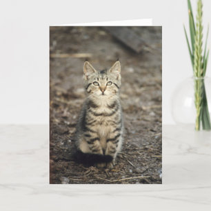 Tarjeta "Tarjeta de felicitación animal de la foto del