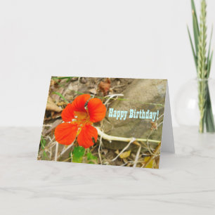 Tarjeta ¡Tarjeta de felicitación de cumpleaños!