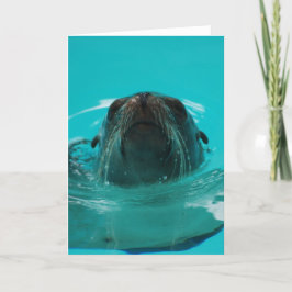 Tarjeta "Tarjeta de felicitación del león marino de