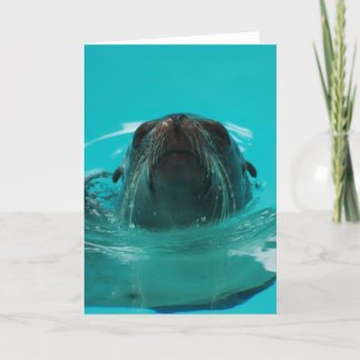 Tarjeta "Tarjeta de felicitación del león marino de