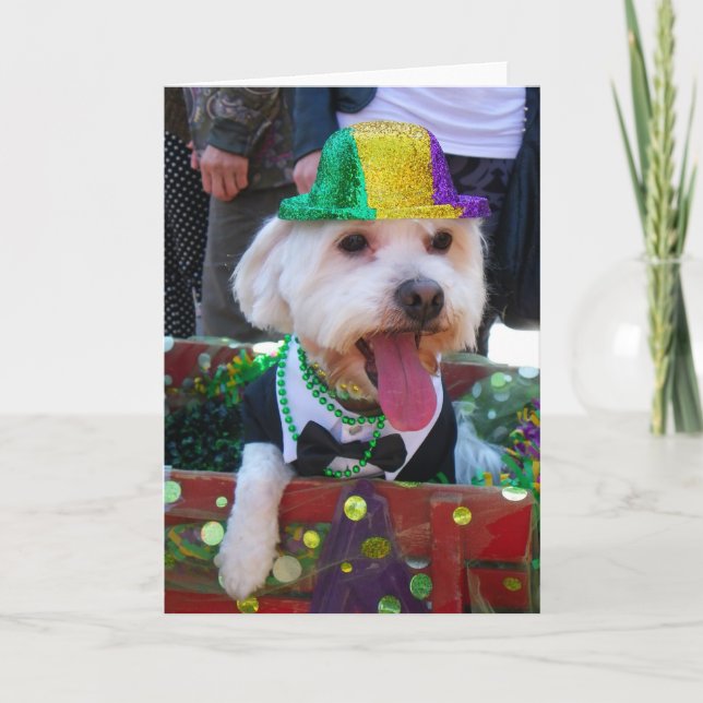 Tarjeta ¡Tarjeta de felicitación Super Cute! (Anverso)