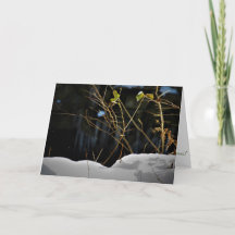 "Tarjeta de Navidad "Minnesnowta invisible"