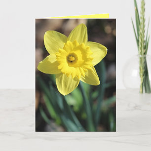 Tarjeta ¡Tarjeta de saludo para la primavera!