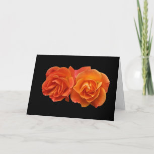 Tarjeta Tarjeta, dos rosas perfectos del albaricoque "
