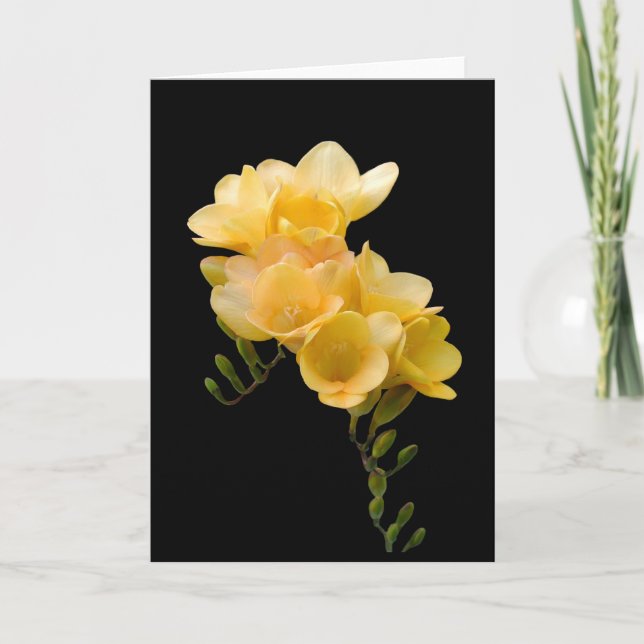 Tarjeta Tarjeta, Freesia amarillo # 1 (Anverso)