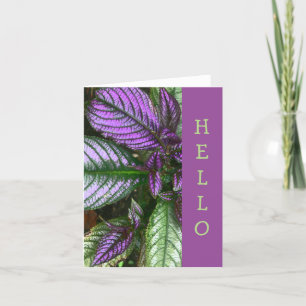 TARJETA TARJETA, "HOLA" PLANTA/PURPLE Y ESCUDO VERDE/PERSA