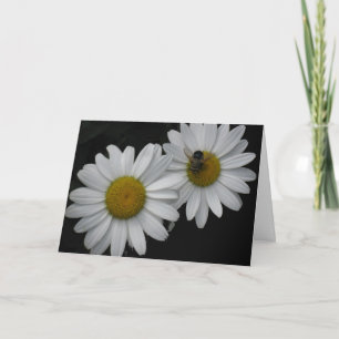 Tarjeta Tarjeta, margaritas y abeja francesas de