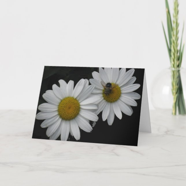 Tarjeta Tarjeta, margaritas y abeja francesas de (Anverso)