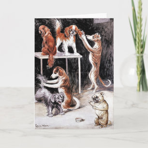 Tarjeta Tarjeta: Perros Grooming Dogs