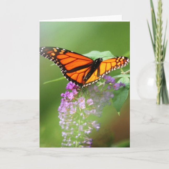 Tarjeta ¡Tarjeta-Personalizar del monarca él! (Anverso)