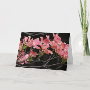 Tarjeta Tarjeta, "PINK DOGWOOD # 2"