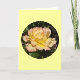 Tarjeta Tarjeta, rosa" P-1 subió Rubor del amarillo