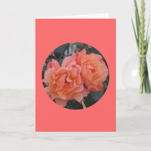 Tarjeta Tarjeta, "rosas rosados anaranjados en el círculo"