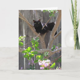 Tarjeta Tarjeta, saludo - Gato en ramas