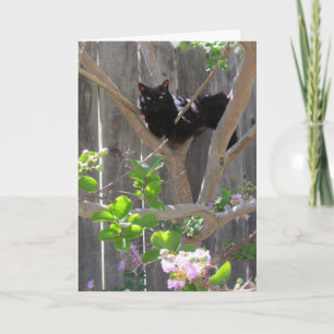 Tarjeta Tarjeta, saludo - Gato en ramas