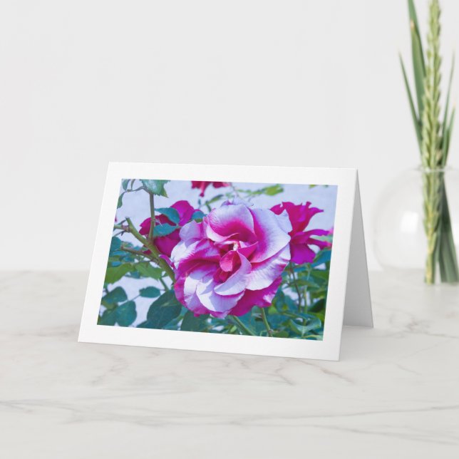 Tarjeta Tarjeta, subió # 232 (Anverso)