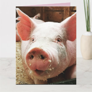 TARJETA TARJETAS CUMPLEAÑOS DIVERTIDA CERDO PUERCO