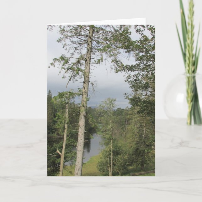 Tarjeta Tarn Hows Trees (Anverso)