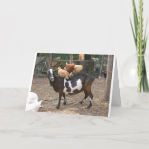 Tarjeta Taxi de la cabra