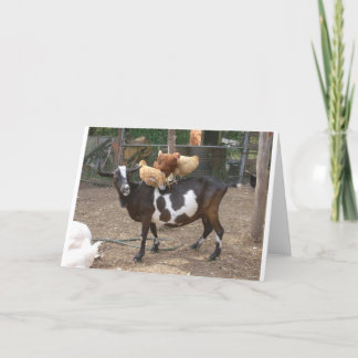 Tarjeta Taxi de la cabra