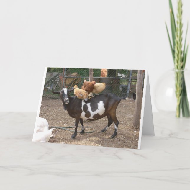 Tarjeta Taxi de la cabra (Anverso)