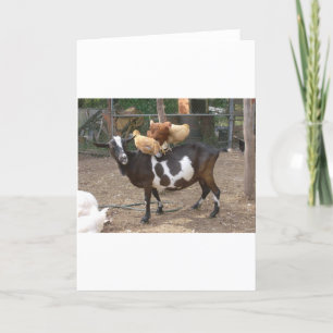 Tarjeta Taxi de la cabra