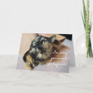 Tarjeta Tazzie-Get Well personalizar