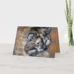 Tarjeta Tazzie-personalizar del gato cualquier ocasión